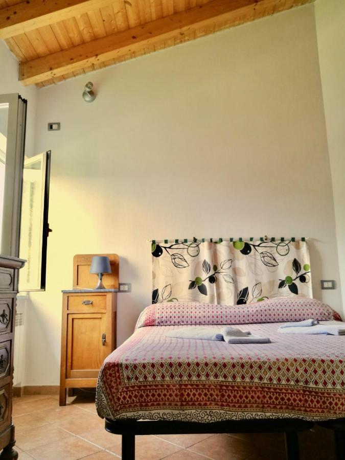 B&B Quincas Berro D'Agua レッコ エクステリア 写真